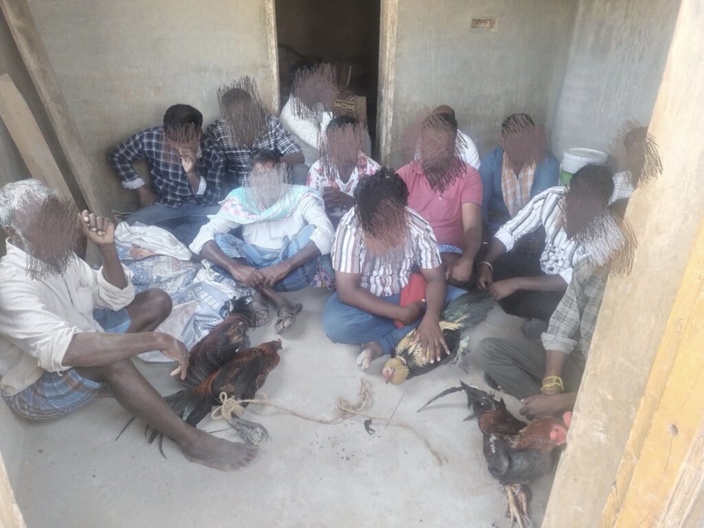 డ్రోన్ కెమెరా కన్ను పడింది కోడిపందెం రాయల్లా ఆట కట్టింది