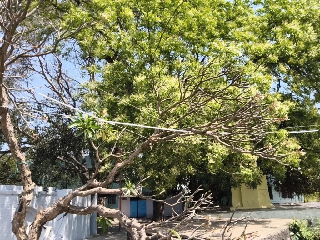 జుక్కల్ మహాదేవ్ ఆలయం వద్ద ప్రమాదకరంగా మారిన విద్యుత్ వైర్లు  అధికారుల నిర్లక్ష్యంపై గ్రామస్తుల ఆగ్రహం