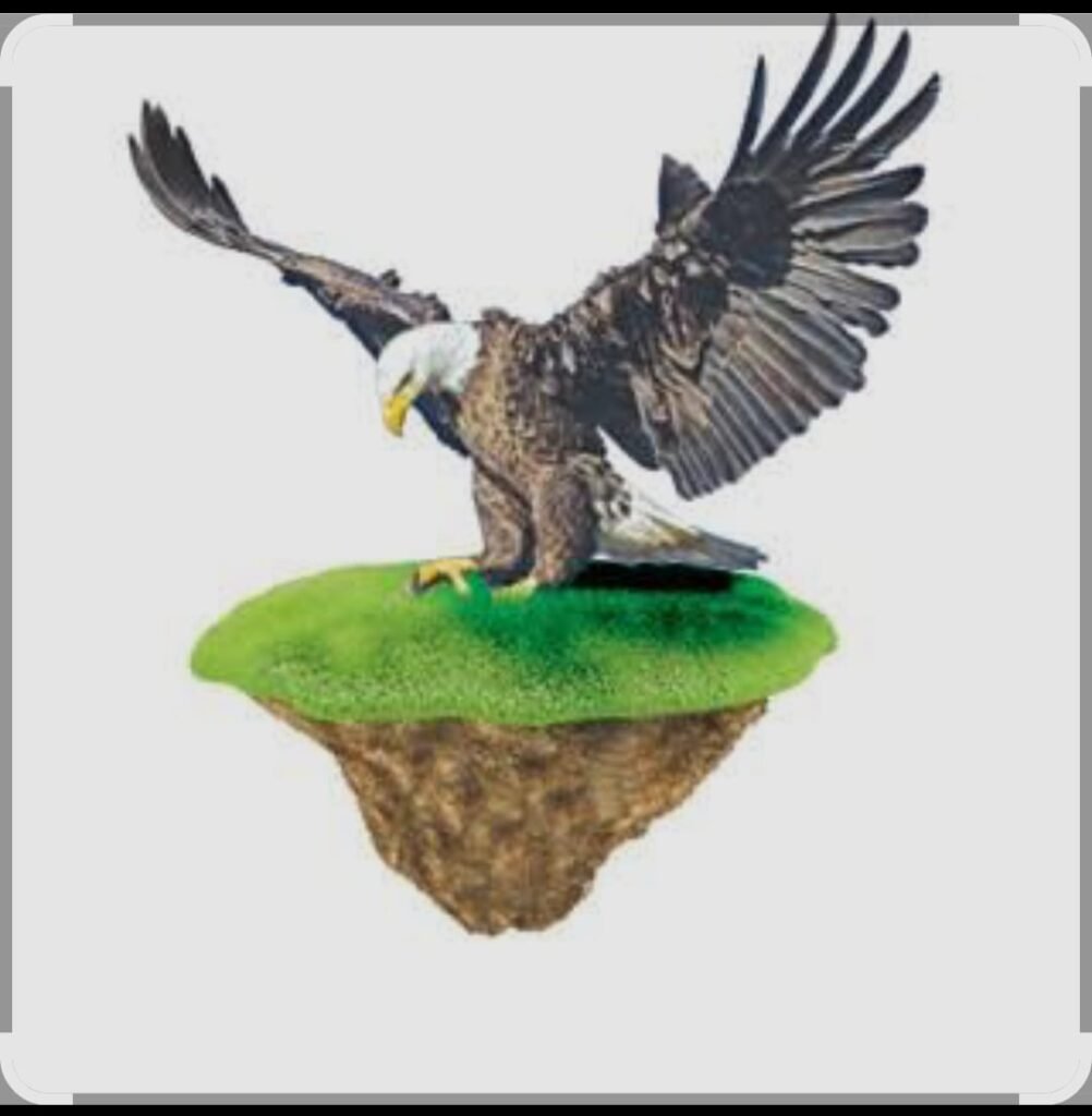 అసైన్మెంట్ భూమికి.. హక్కులు కల్పించిన”ఆ రెవెన్యూ ఇన్స్పెక్టర్ ఎవరు..?