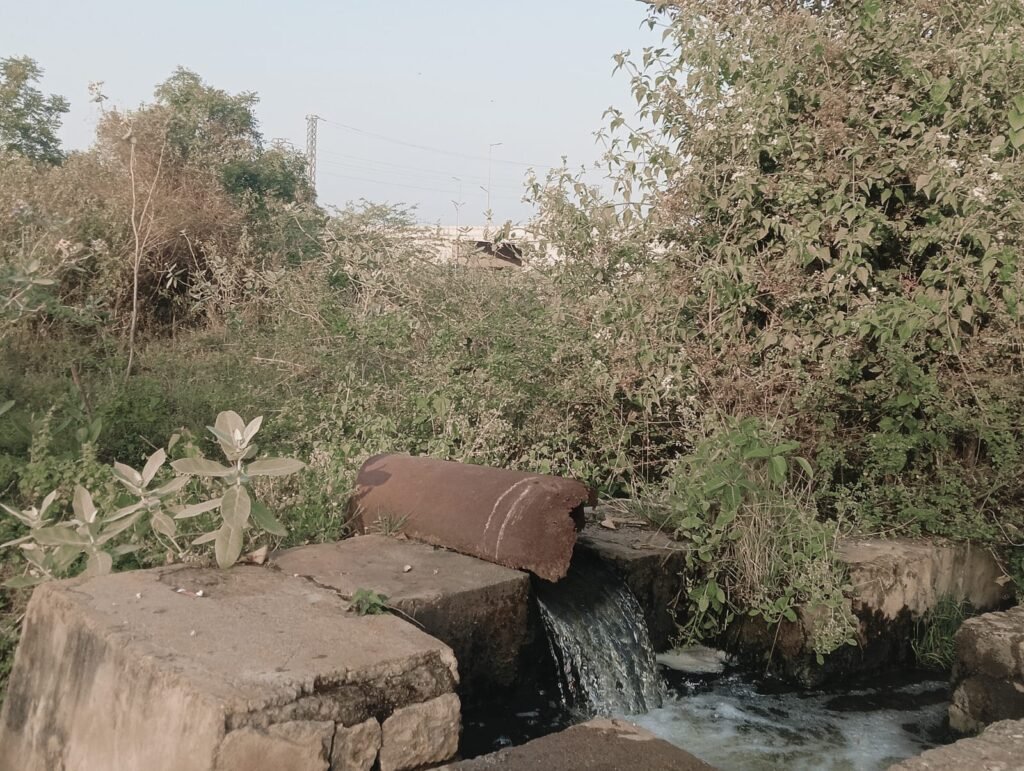 రియల్ ఎస్టేట్ వ్యాపారానికి అడ్డాగా మారిన “ఆ నియోజకవర్గం”..?