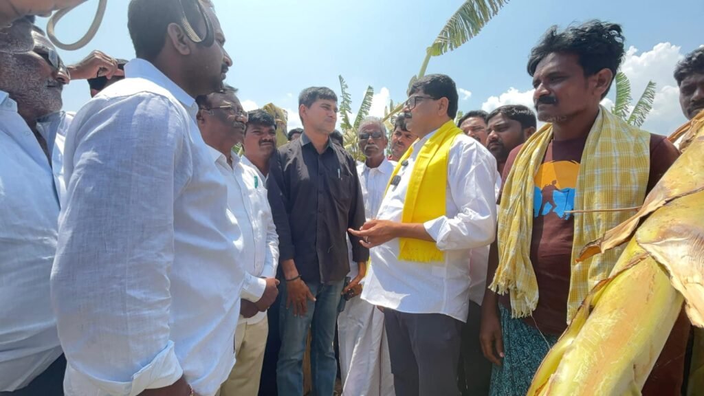 అకాల వర్షాలతో దెబ్బతిన్న అరటి పంటను పరిశీలించిన కడప జిల్లా డిసిసి బ్యాంక్ చైర్మన్ మంచూరు సూర్యనారాయణ రెడ్డి,