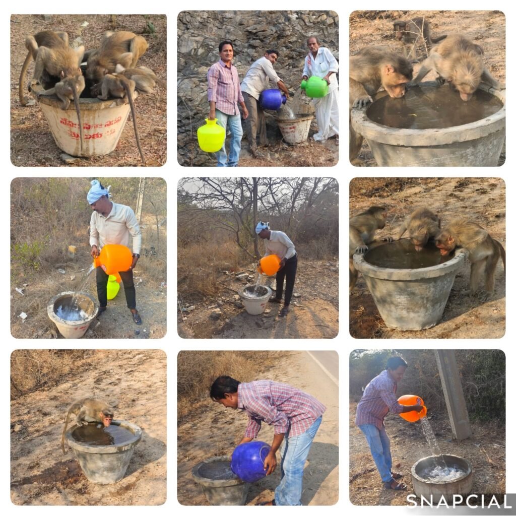 ఎండ వేడిని సైతం లెక్కచేయకుండా మూగజీవాల సేవా చేస్తున్న మైదుకూరు నేస్తం సేవా సంస్థ సభ్యులు…