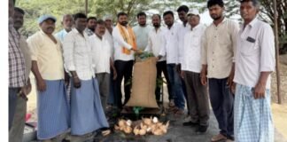 రైతులు దళారులను నమ్మి మోసపోవద్దు