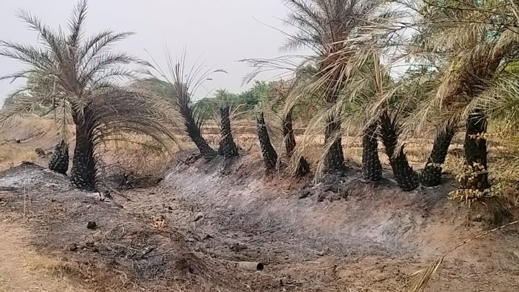 ఉపాధి హామీ పనుల్లో ఘోర నిర్లక్ష్యం