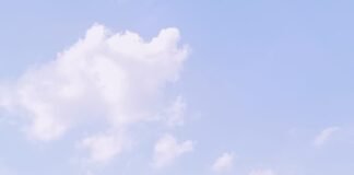 విద్యుత్ ప్రమాదానికి గురై గేదలు మృతి