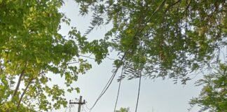వీధిలైట్లు లేక అల్లాడుతున్న దళితులు.