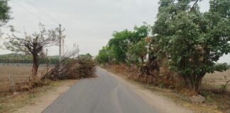 రోడ్డుపై చెట్లు పడి వాహనదారులకు ఇబ్బందులు