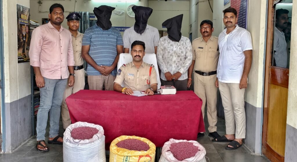 నకిలీ పత్తి విత్తనాలు పట్టివేత