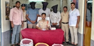 నకిలీ పత్తి విత్తనాలు పట్టివేత