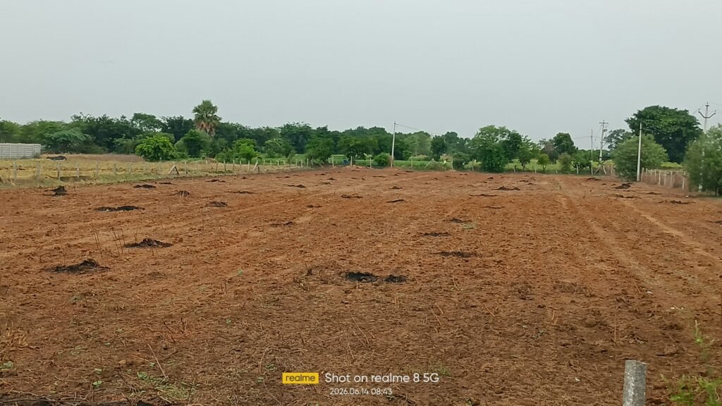 మార్కుక్ వర్షాలు రాక రైతులు ఎదురుచూపు..