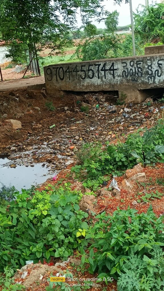 పాములపర్తి గ్రామంలో 6వ వార్డులో కంపు కొడుతున్న, మురికి కాలువ..