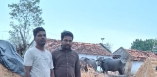 రాజరాంపల్లిలో పిడుగుపాటుకు గేదె మృతి