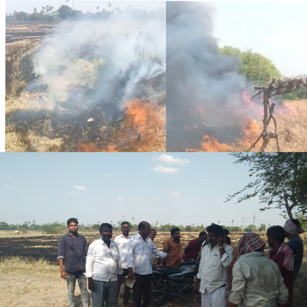 “వరి కొయ్యలకు నిప్పు.. అప్రమత్తతతో తప్పిన భారీ ప్రమాదం “విద్యుత్ అధికారులు, సర్పంచ్, గ్రామ యువకుల సకాల స్పందన