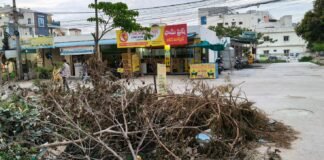 చెట్లు నరికారు కొమ్మలు వదిలేశారు ఇబ్బందుల్లో కాలనీవాసులు