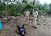 దొర్లబంగ్లలో మరో ప్రాణాన్ని బలిగొన్న గుడుంబా
