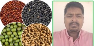 నెల్లికుదురు లో 27 నుంచి 29 వరకు విత్తన మేళ