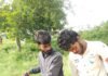 ఎల్ సి ఇవ్వకుండా స్తంభం ఎక్కించిన లైన్ మెన్