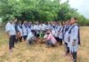 మఠంపల్లి మోడల్ స్కూల్ లో అమ్మ పేరుతో ఒక మొక్క హరిత కార్యక్రమం విజయవంతం.
