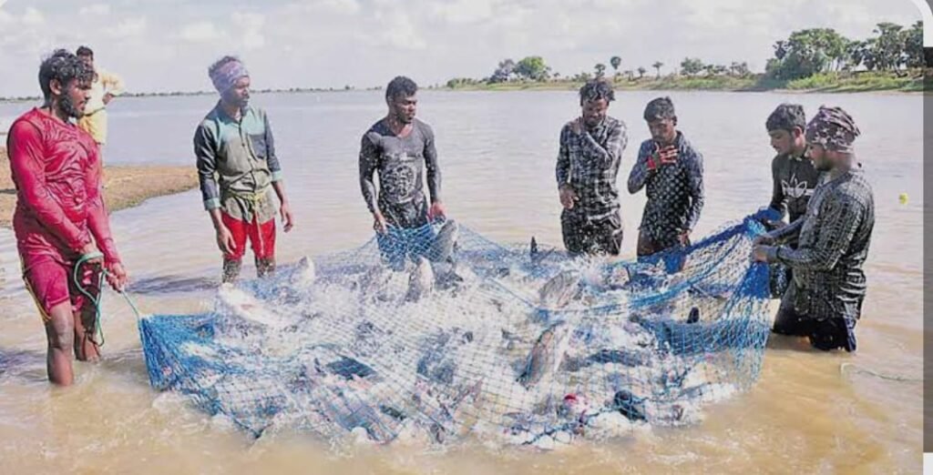 జిల్లా మత్స్య శాఖలో జీవోల లొల్లి