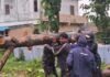 వర్షంలోనూ సేవలో ముందున్న సుందిల్ల సర్పంచ్