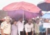 భావితరాల భవిష్యత్తుపై మొక్కలు నాటండి