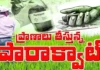 పోరుమామిళ్లలో యథేచ్ఛగా గడ్డి మందుల విక్రయాలు. రైతుల ఆవేదన,తక్షణ చర్యలకు డిమాండ్