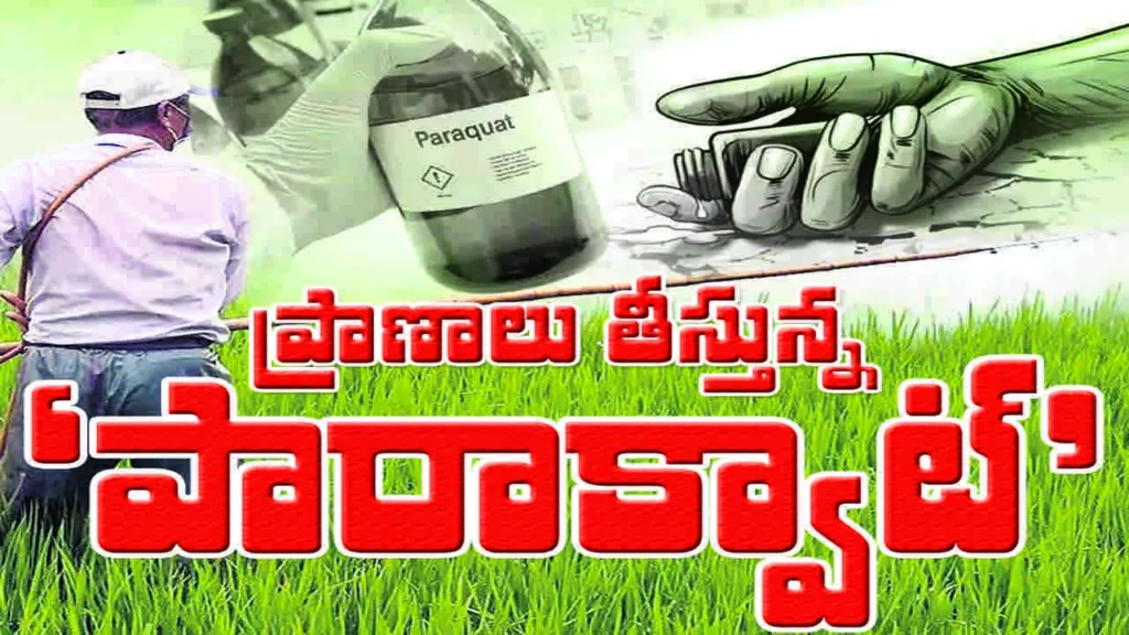 పోరుమామిళ్లలో యథేచ్ఛగా గడ్డి మందుల విక్రయాలు. రైతుల ఆవేదన,తక్షణ చర్యలకు డిమాండ్