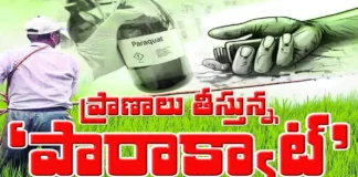 పోరుమామిళ్లలో యథేచ్ఛగా గడ్డి మందుల విక్రయాలు. రైతుల ఆవేదన,తక్షణ చర్యలకు డిమాండ్