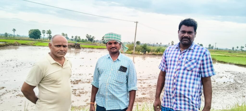నాగార్జున సాగర్ ఆయకట్టులో వర్షాలతో రైతన్నల్లో చిగురిస్తున్న ఆశలు