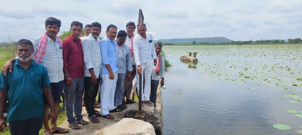 అధికారుల నిర్లక్ష్యంతో కోటగిరి దామర చెరువు దీనదుస్థితి.