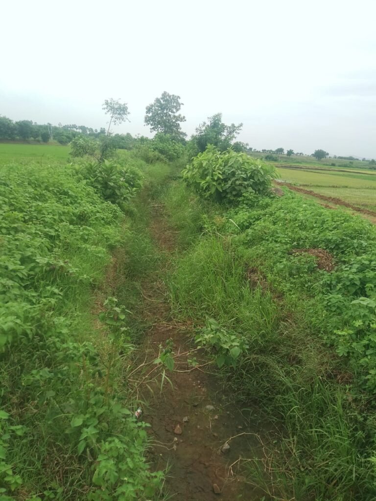 అభివృద్ధికి ఆమడ దూరంలో లక్నవరం చెరువు