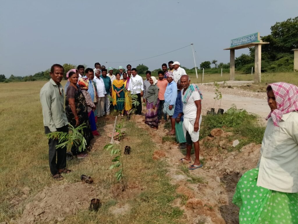 దాచారం గ్రామంలో 800 మొక్కలు నాటిన సర్పంచ్