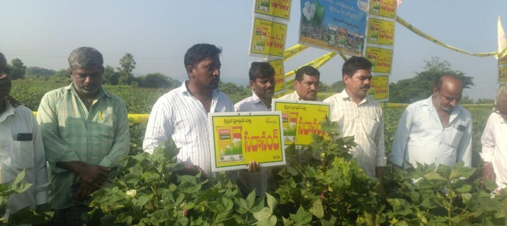 బెజ్జంకి క్రిస్టల్ పత్తి క్షేత్ర ప్రదర్శనకు విశేష స్పందన