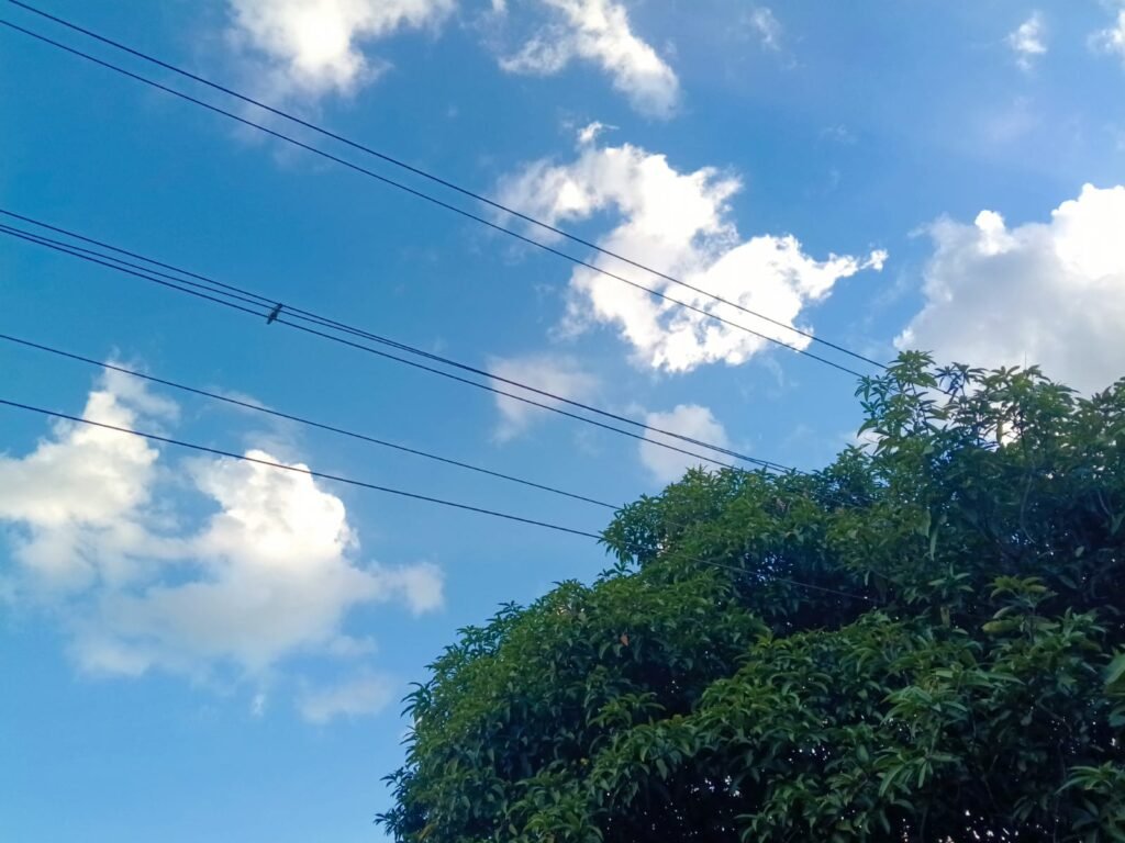 విద్యుత్ తీగలతో రైతులకు ముప్పు
