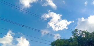 విద్యుత్ తీగలతో రైతులకు ముప్పు