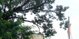 సర్దార్ వల్లభాయ్ పటేల్ కృషి మరువలేనిది బిజెపి మండల అధ్యక్షుడు రామకృష్ణ