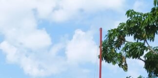 పెద్దవంగర గ్రామపంచాయతీ ఆవరణలో జాతీయ జెండా ఆవిష్కరణ.