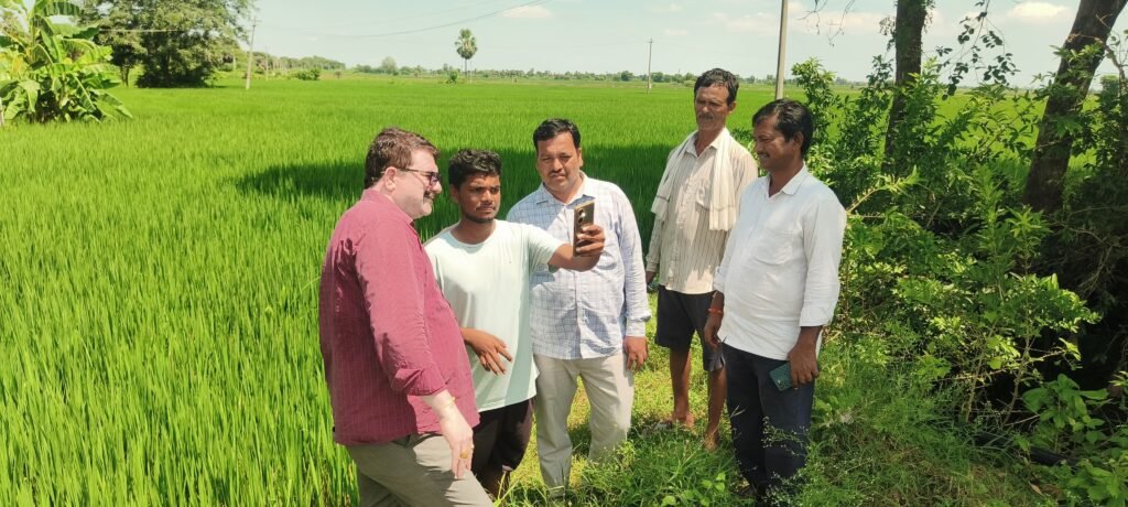 పంటల వివరాలు నమోదు చేయాలి