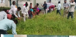 స్వచ్ఛత ఈ సేవలో భాగంగా గుగ్గిళ్ల ప్రభుత్వ పాఠశాల పరిసరాల్లో పిచ్చిగడ్డి తొలగింపు