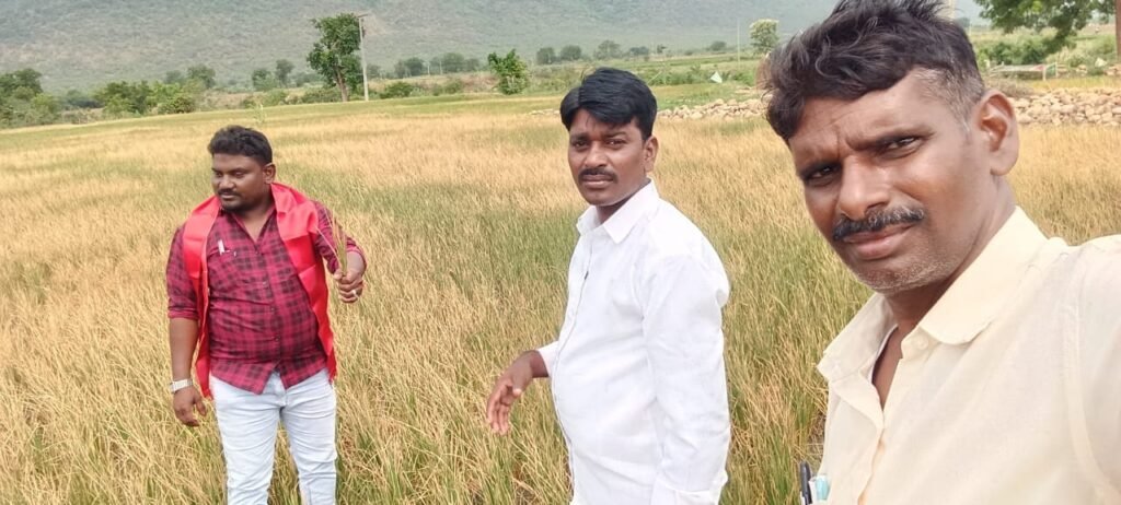 కలసపాడు మండలాన్ని కరువు మండలంగా ప్రకటించి, ఎండిపోయిన పంటలకు ఎకరాకు ₹50,000 నష్టపరిహారం ఇవ్వాలి,ఆంధ్రప్రదేశ్ వ్యవసాయ కార్మిక సంఘం డిమాండ్