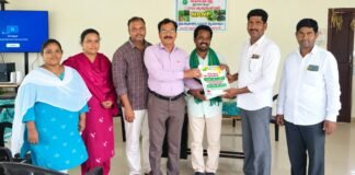 యాసంగిలో పప్పు ధాన్య పంటలు సాగు చేయాలి