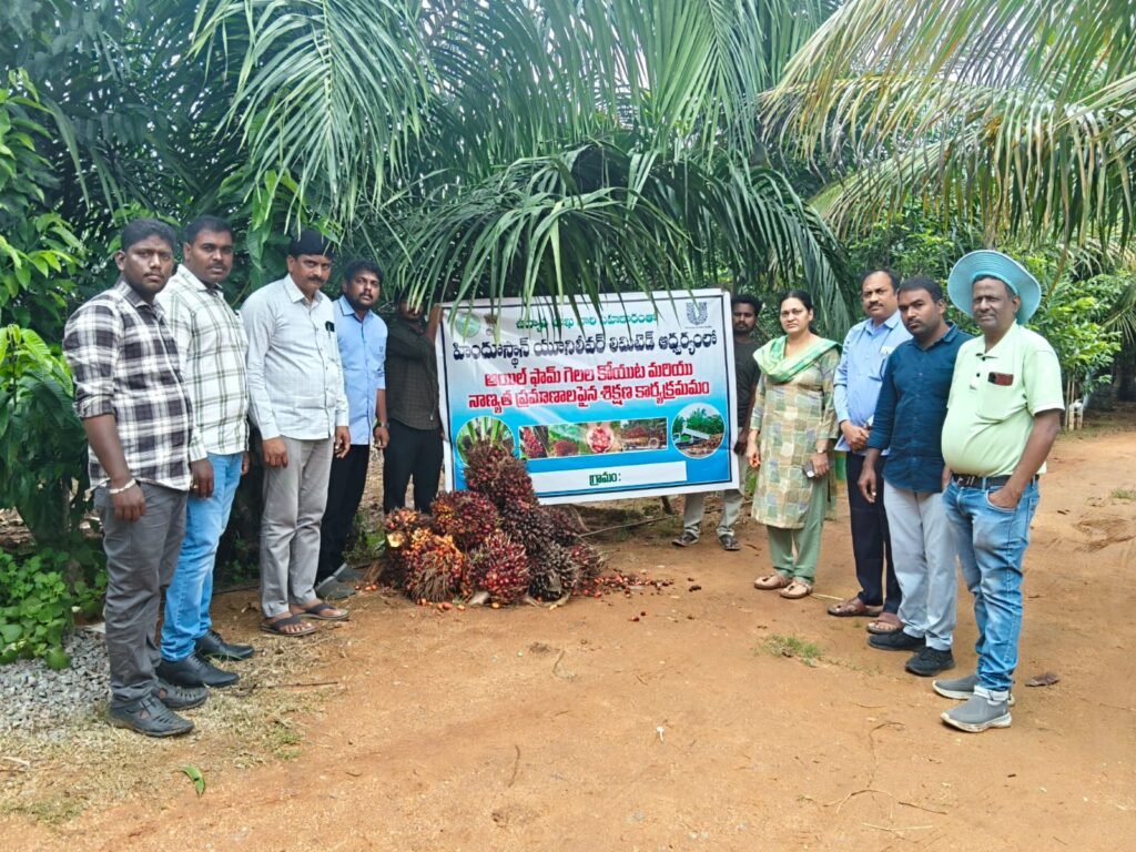 జంగంపల్లి గ్రామంలో ఆయిల్ పామ్ కోత కార్యక్రమం