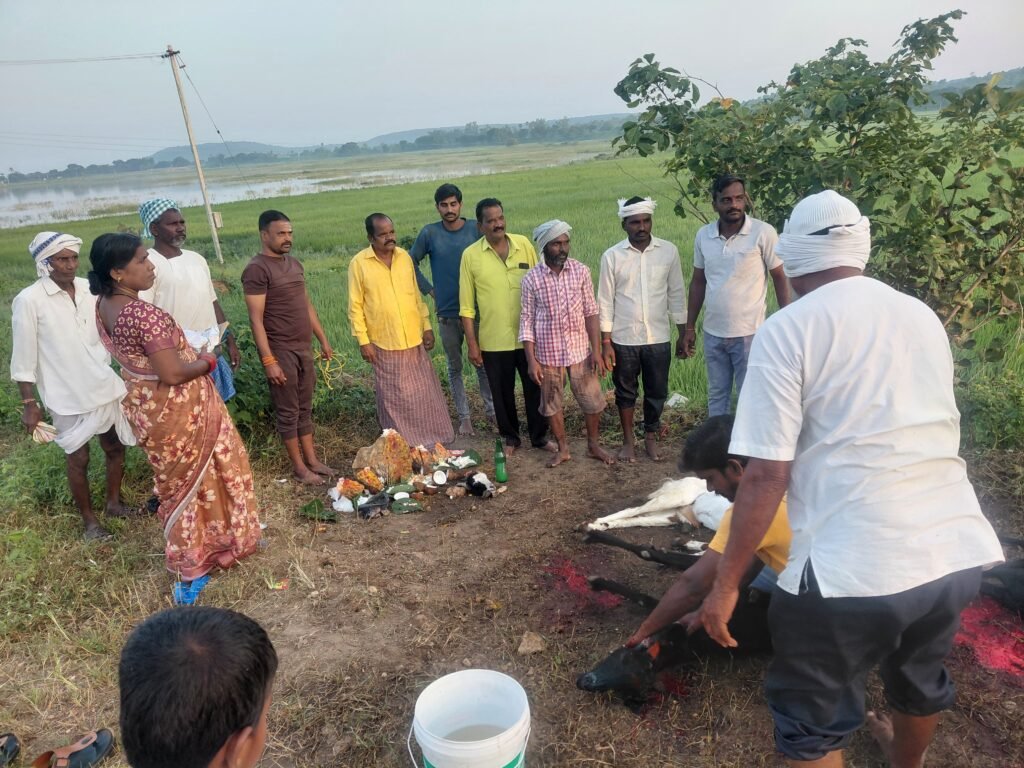 నస్రుల్లాబాద్ మండల గ్రామాలలో పురుగుల పోషవ్వ పండగలు