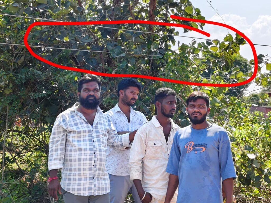 స్మశాన వాటికలో ప్రమాదకరంగా కరెంట్ వైర్లు