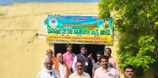 నాబార్డ్ సహకారంతో డెయిరీ అభివృద్ధి చేసుకోవాలి