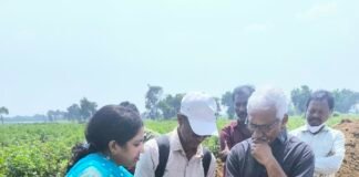 రీసర్వే పనులను నిర్దేశిత మార్గదర్శకాల ప్రకారం గడువులోగా పూర్తి చేయాలి..!