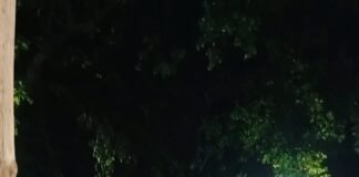 బతుకమ్మ వేడుకల్లో సందడి చేసిన పొంగులేటి మాధురి