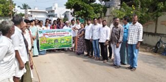 యాసంగిలో వరి, మొక్కజొన్న సాగు వద్దు